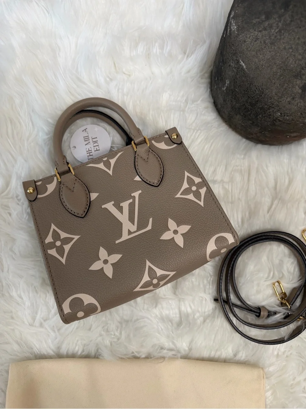 LOUIS VUITTON GIANT FELICIE ON THE GO BB BAG